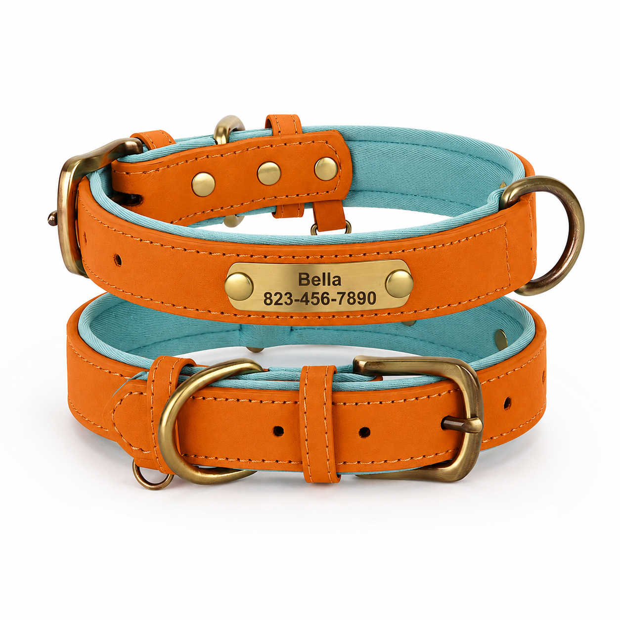 Coleira Personalizada para cães de pequeno, médio e grande porte - MimoCao