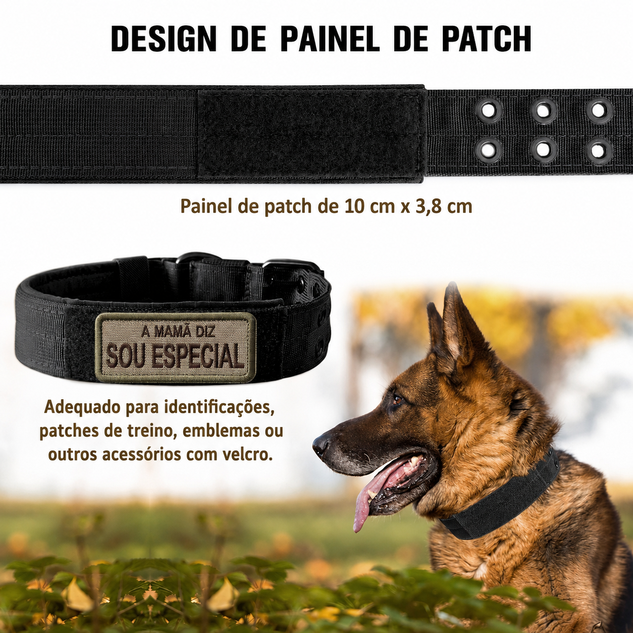 Coleira Tática Militar para Cães -  MimoCao