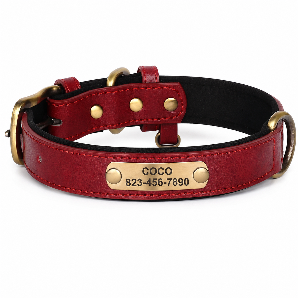Coleira Personalizada para cães de pequeno, médio e grande porte - MimoCao