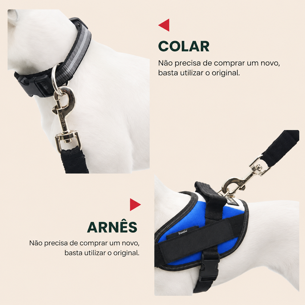 Cinto de Segurança para Cães - MimoCao