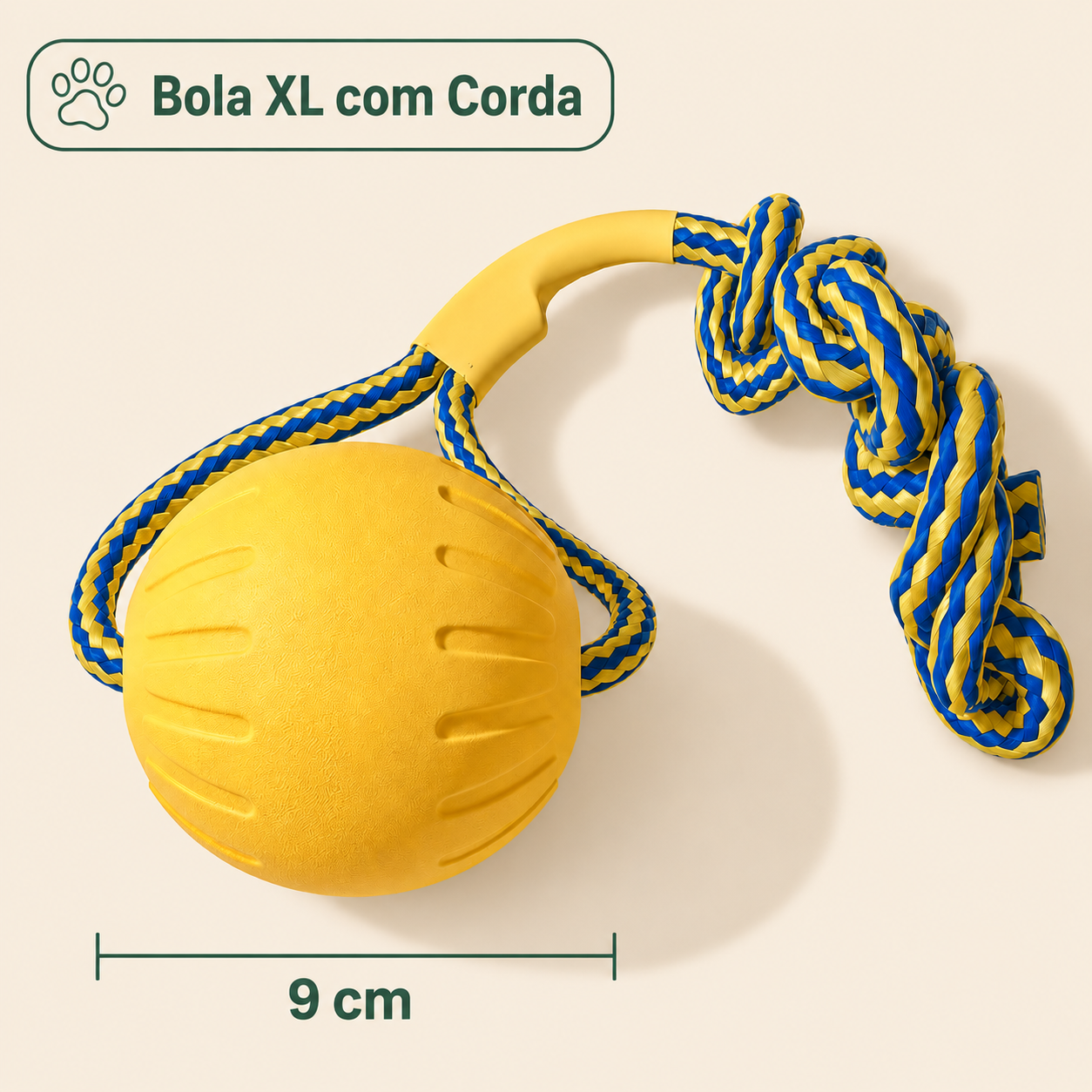 Kit para Diversão Canina 4 em 1 - MimoCao