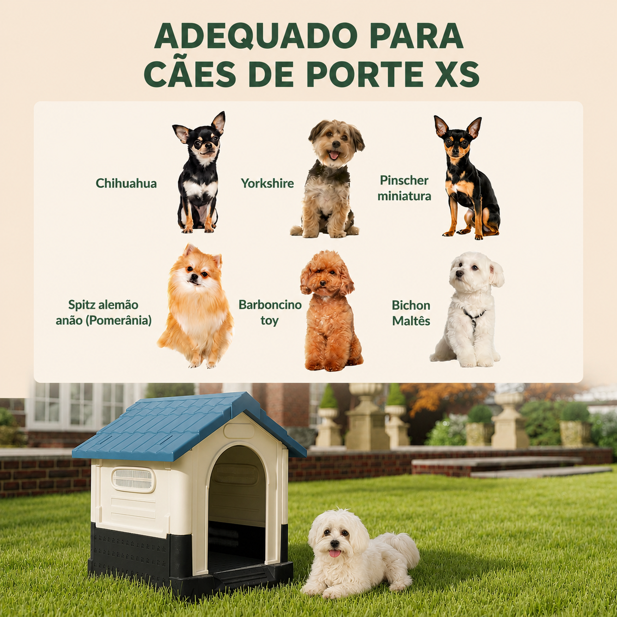Casota de Quintal para Conforto de cães - MimoCao