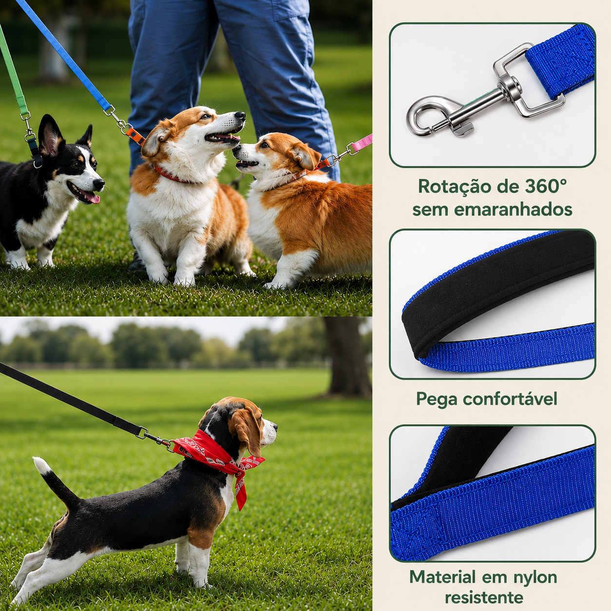Trela Longa de Treino para Cães - MimoCao
