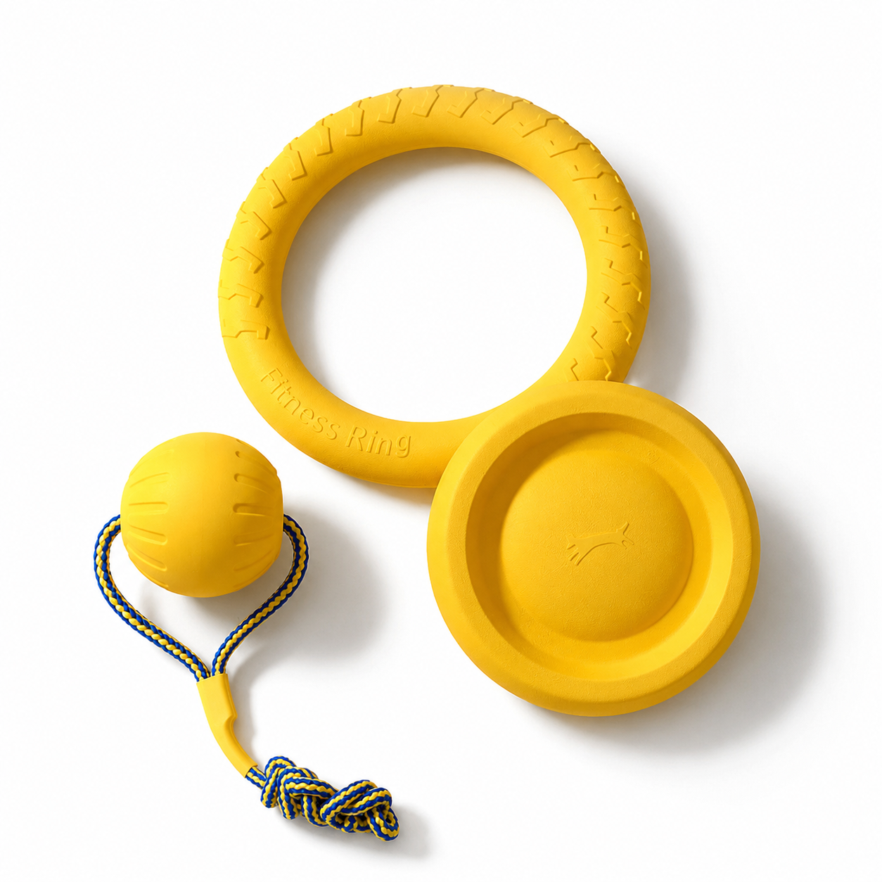 Kit para Diversão Canina 4 em 1 - MimoCao