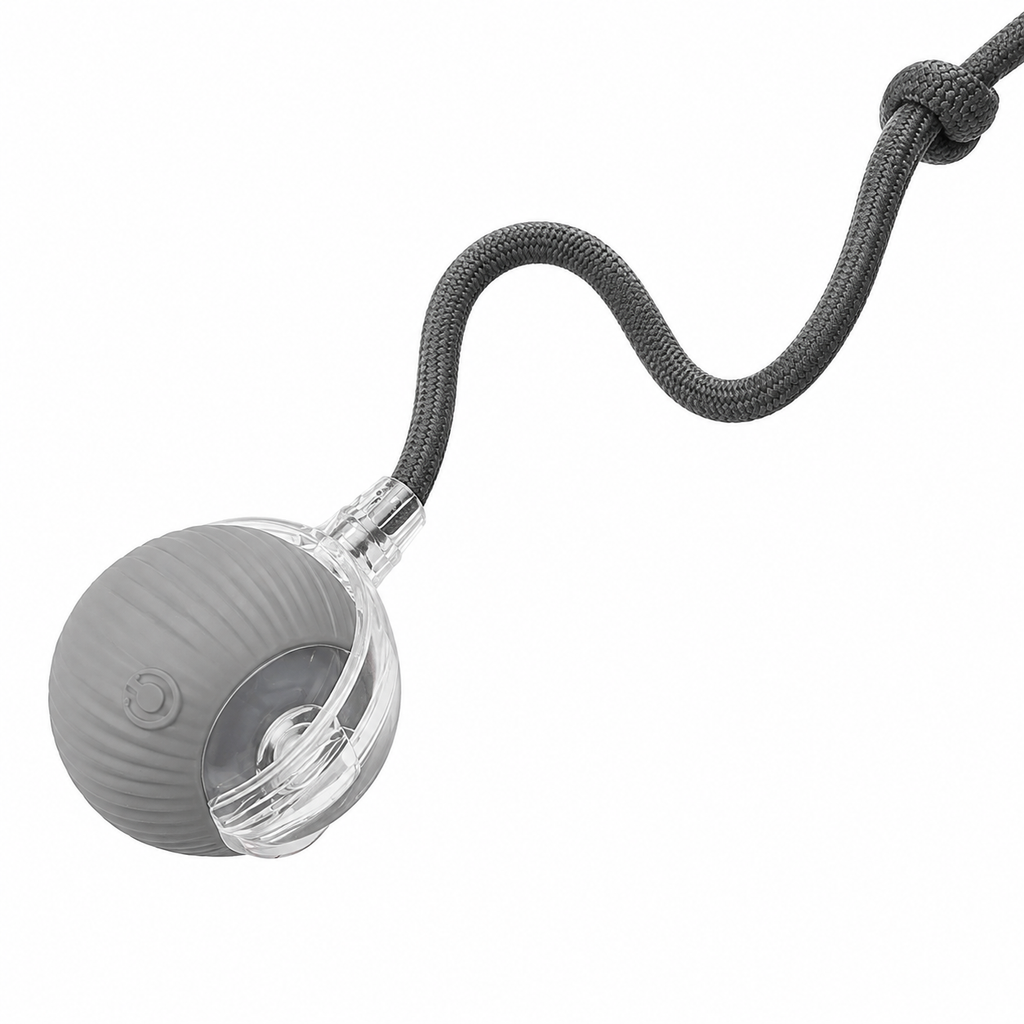 Brinquedo Bola Rolante Automática para Cães - MimoCao