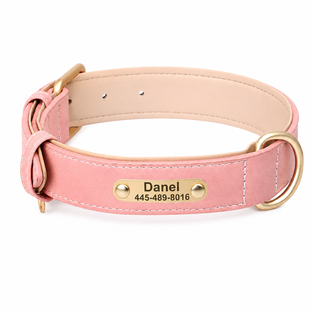 Coleira Personalizada para cães de pequeno, médio e grande porte - MimoCao