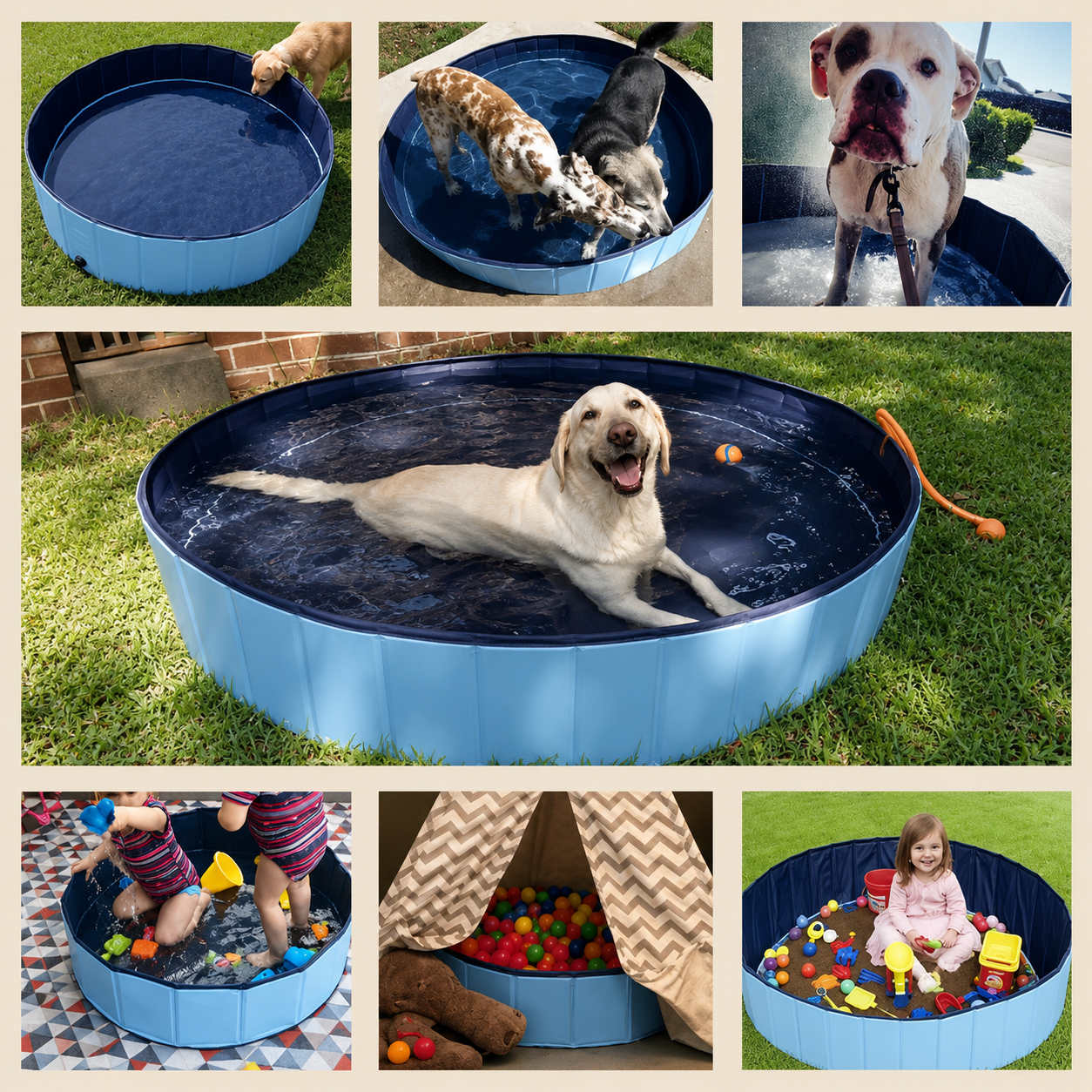 Piscina Dobrável Multiuso para Cães - Mimocao