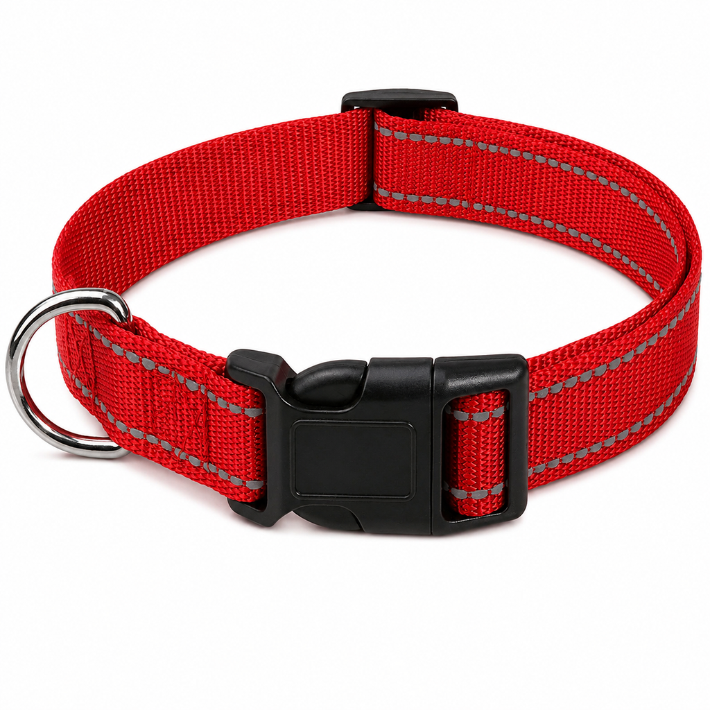 Coleira Choker para Cães Pequenos - MimoCao