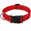 Coleira Choker para Cães Pequenos - MimoCao