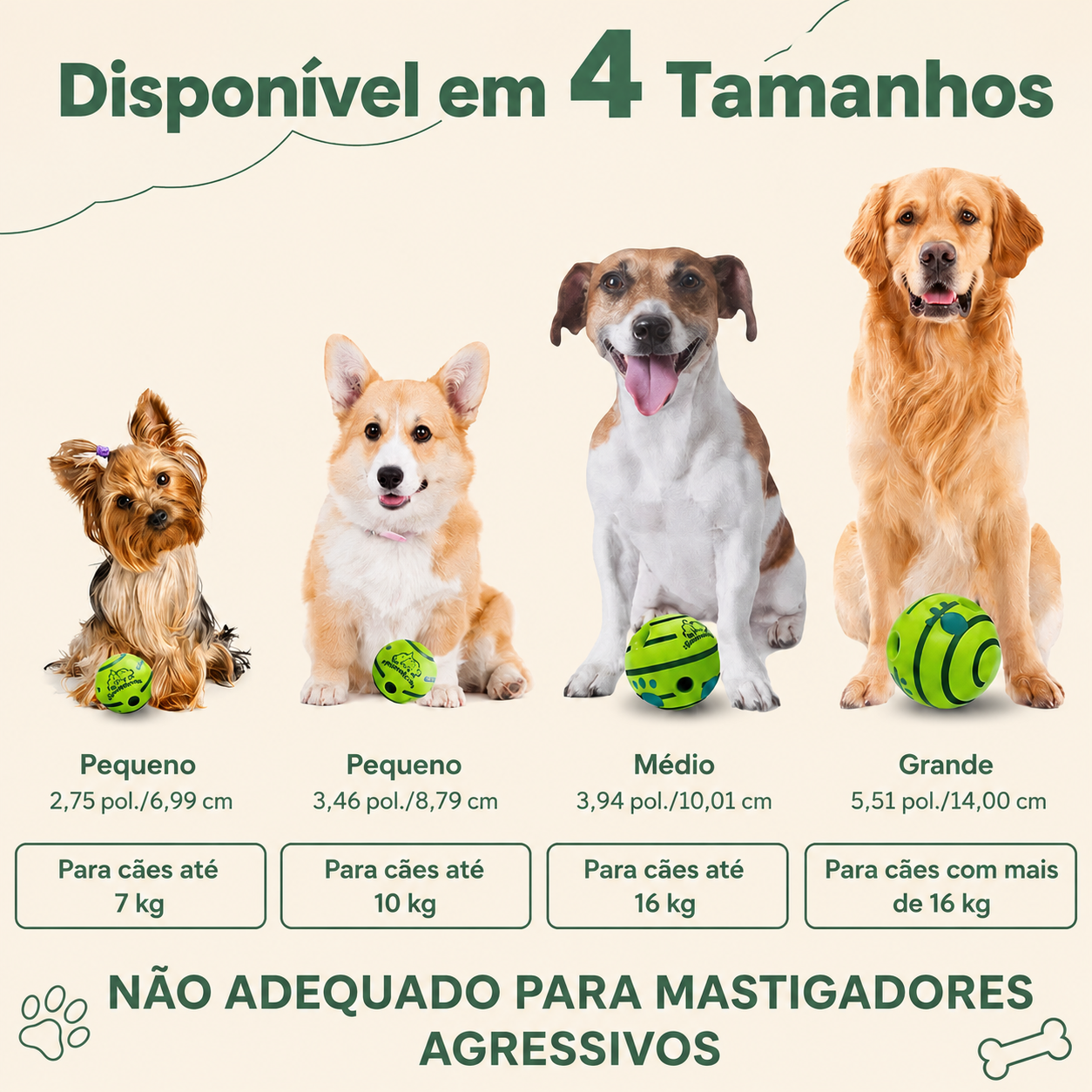 Brinquedo Bola Interativa para Cães –  MimoCao