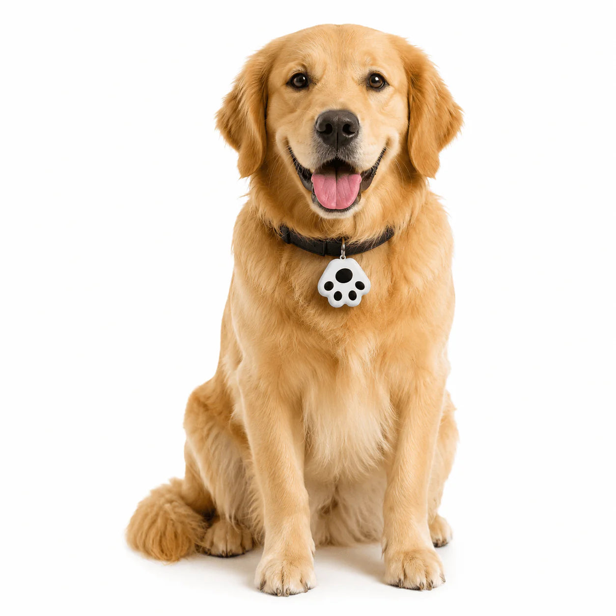 Mini Rastreador Bluetooth Anti-Perda Pets - MimoCao