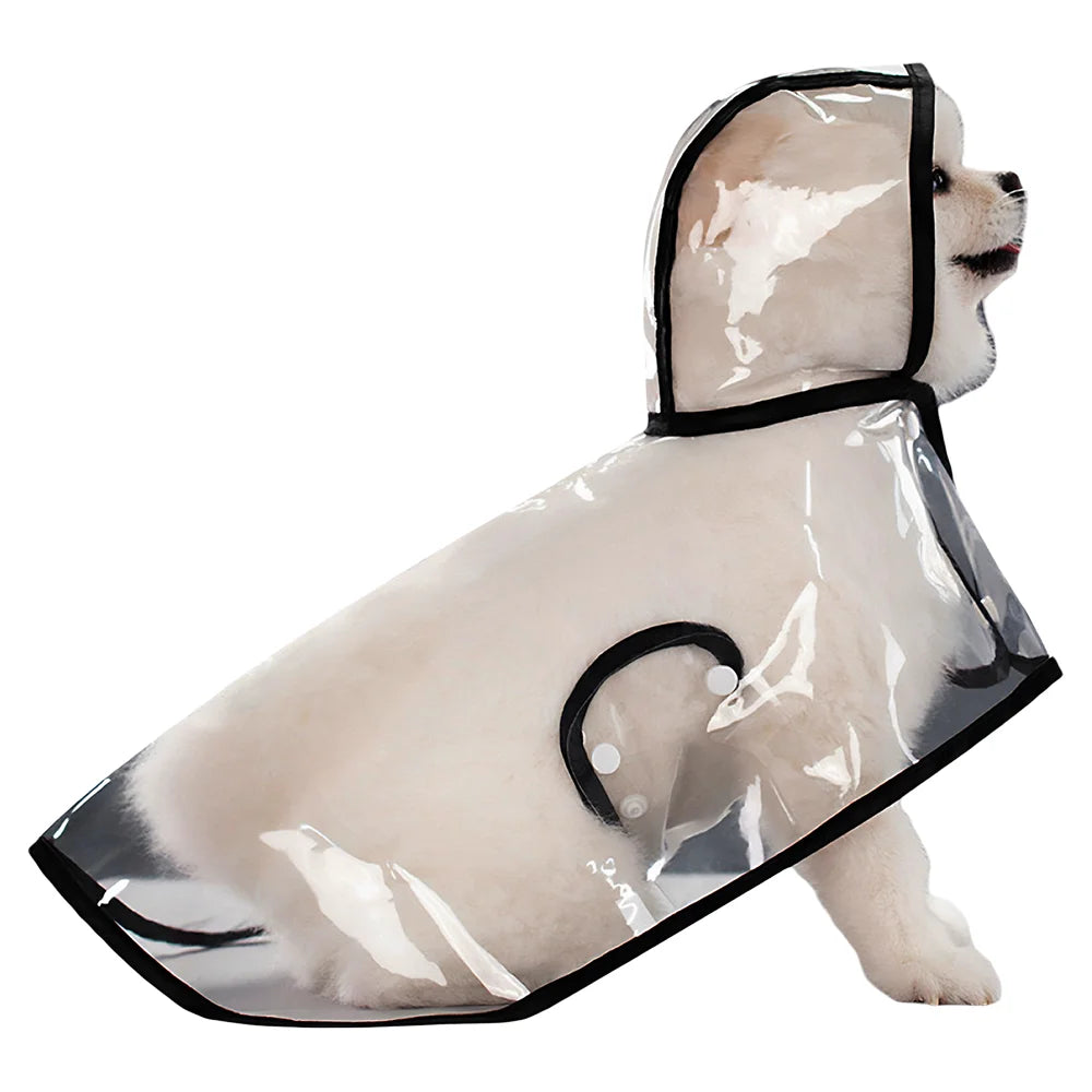 Capa de Chuva Impermeável para Cães - MimoCao