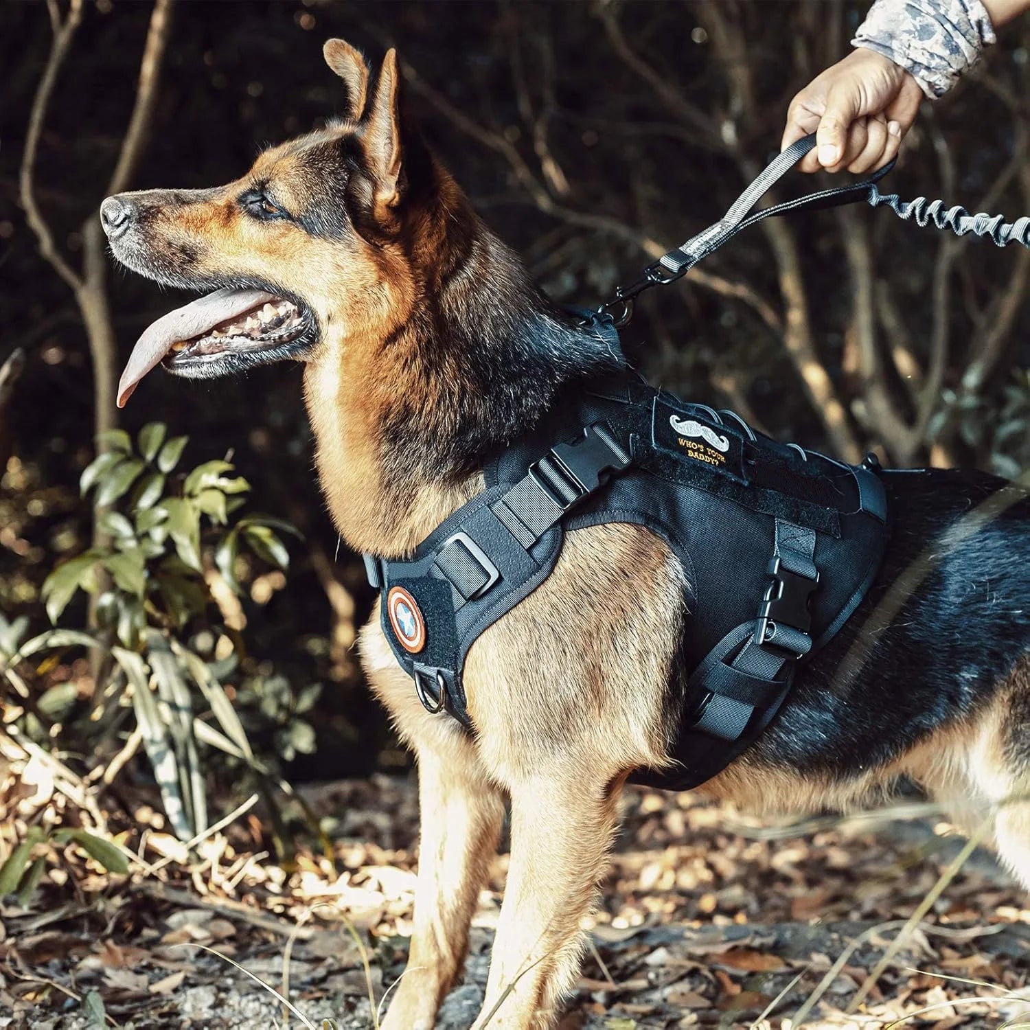 Peitoral Colete para Cães K9 para Cães - MimoCão