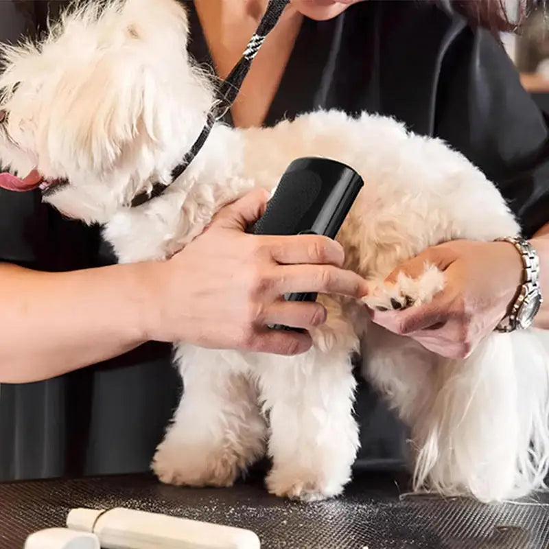 Escova Profissional para Remoção de Pelos Mortos de Cães e Gatosr - Mimocao