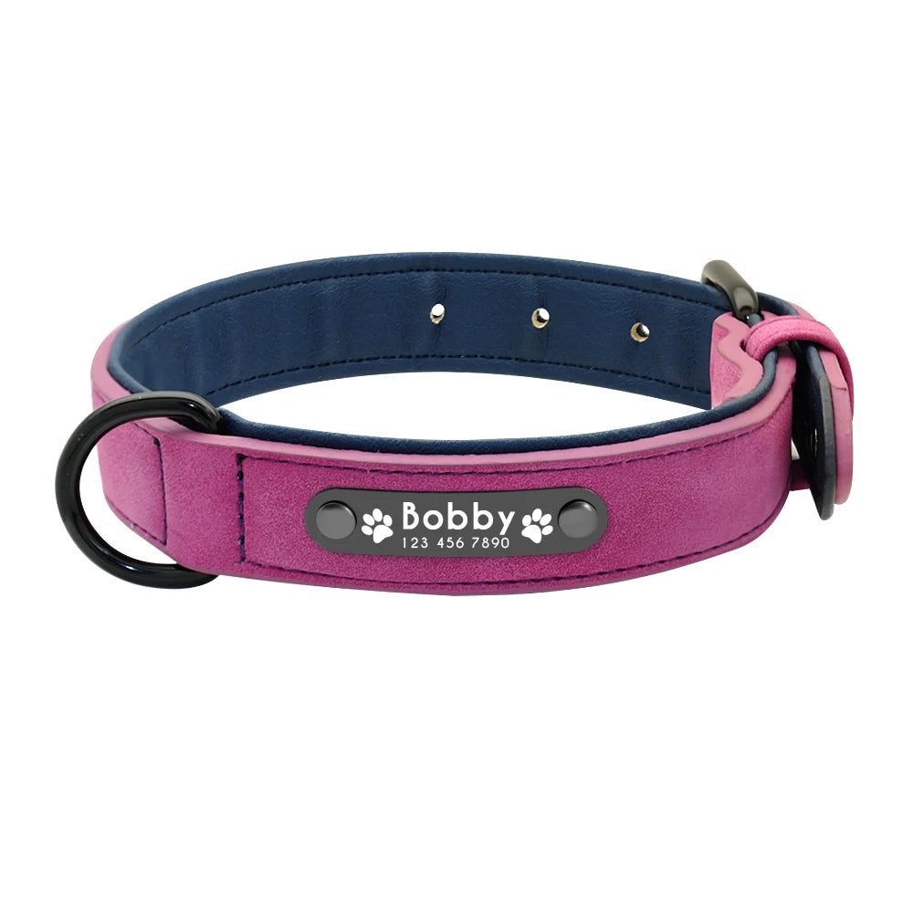 Coleira de Couro Personalizadas para Cães - MimoCao
