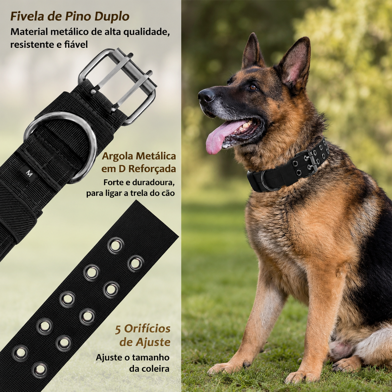 Coleira Tática Militar para Cães -  MimoCao
