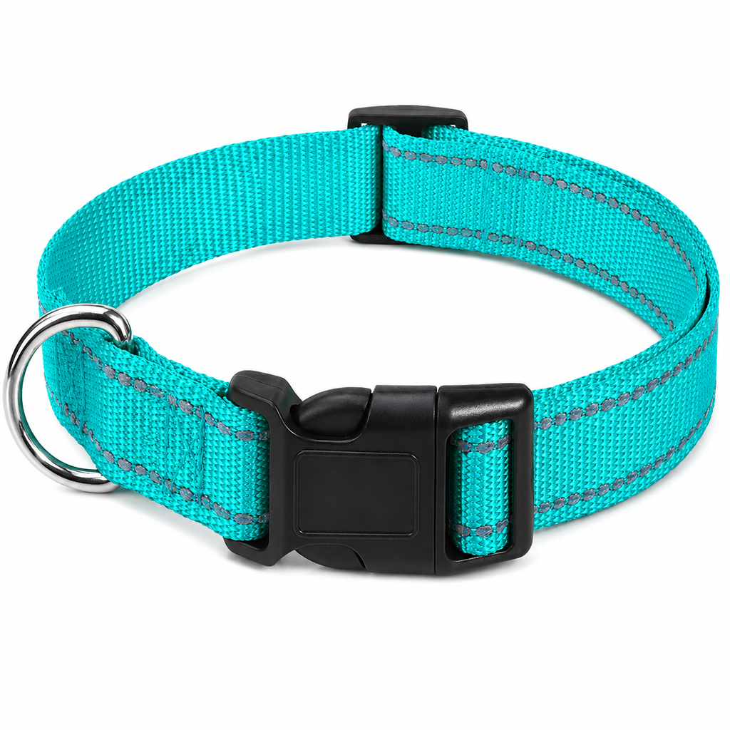 Coleira Choker para Cães Pequenos - MimoCao
