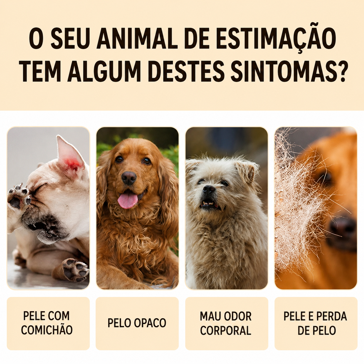 Shampoo Calmante para Cães 100 mil - MimoCao