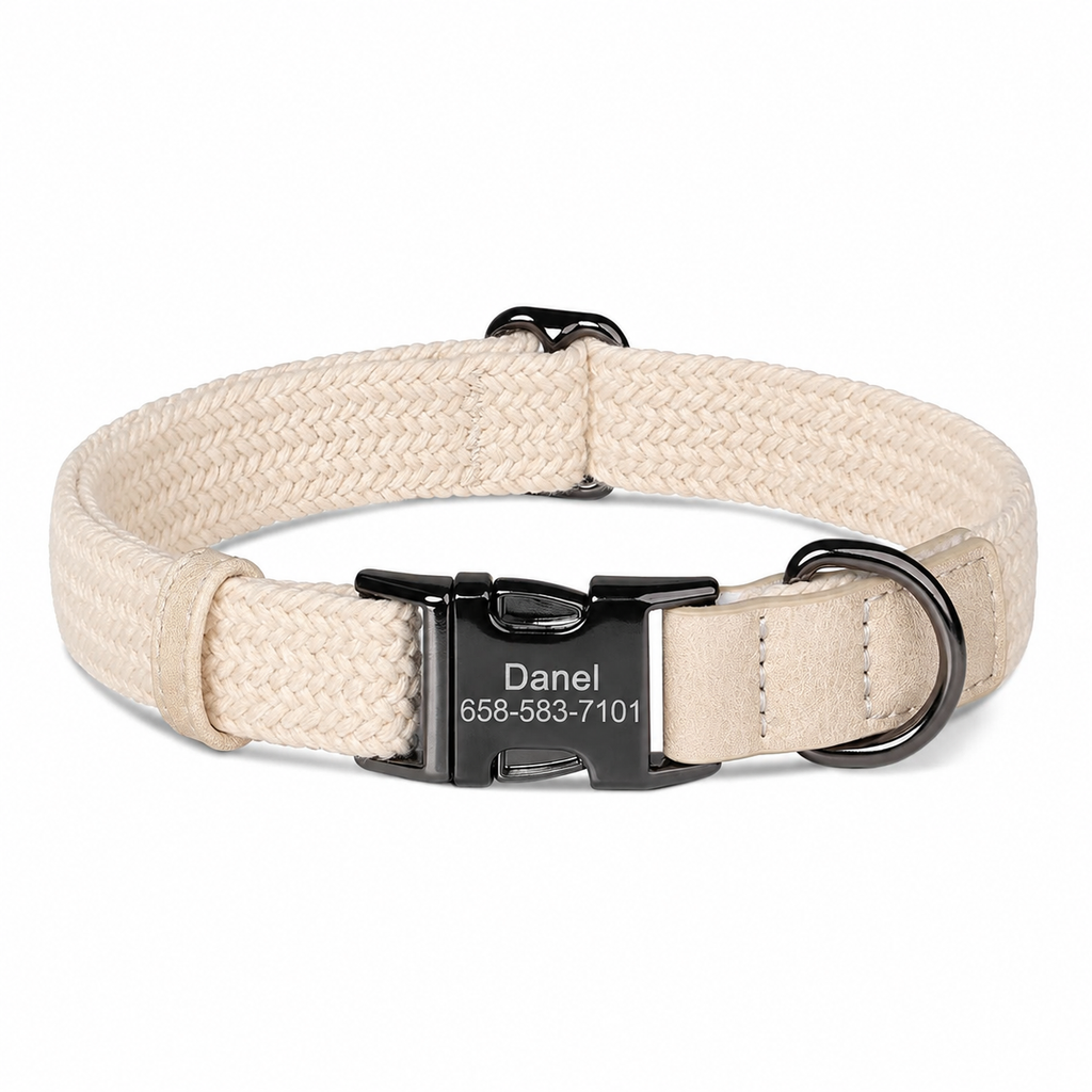 Coleira para Cães Personalizada - MimoCao