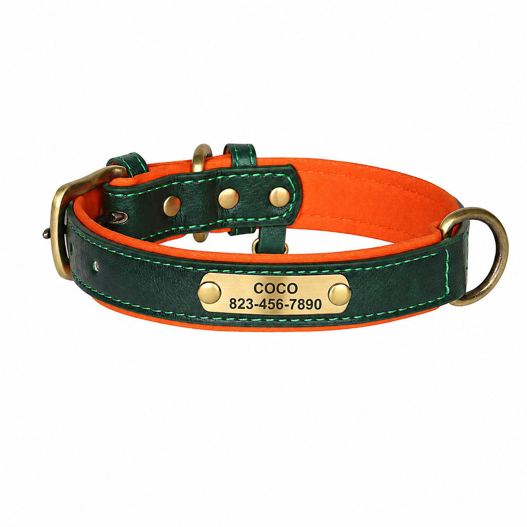 Coleira Personalizada para cães de pequeno, médio e grande porte - MimoCao
